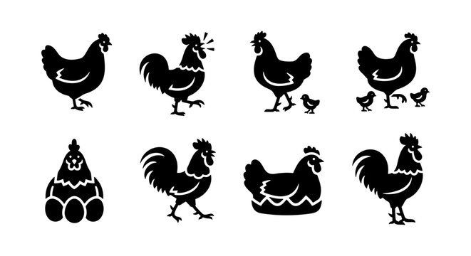 Rustic chicken silhouette icons, 8 black farm bird vector elements, rooster and hen poultry set with chicks and eggs for farm branding