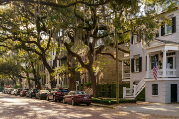 Obraz premium idyllic neighborhood street with live oaks and Spanish moss in the heart of historic Savannah