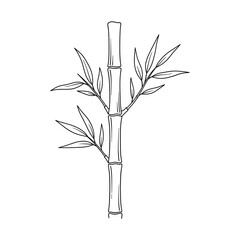 Fototapeta premium Simple Bamboo Stalk Line Art - Elegant Botanical Vector Illustration