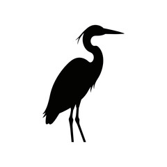 Obraz premium Black silhouette of a heron standing