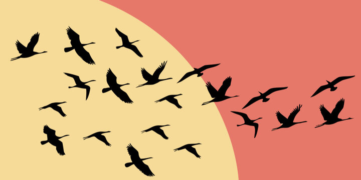 Silhouette flock of migratory birds flying across a stylized background with v formation migration silhouette wildlife movement v-formation illustration background abstract atmosphere