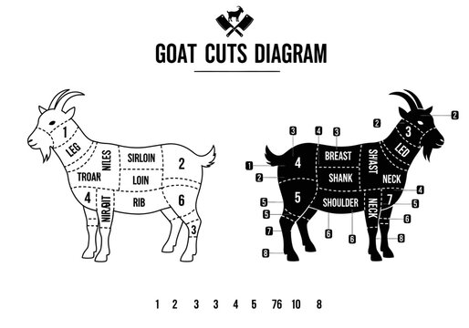 Goat Butcher Meat Cuts Diagram - Minimalist Silhouette Infographic for Culinary and Butchery Education