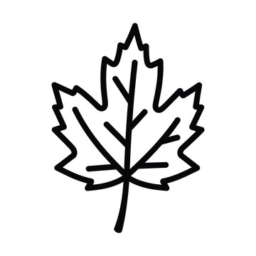 Simple black outline drawing of a maple leaf with distinct lobes and veins on a white background, representing nature and autumn.