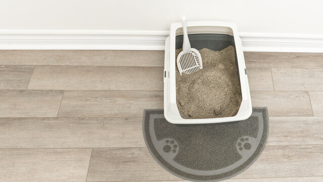 Cat litter box with sand and scoop on a mat, positioned on a wooden floor against a light-colored wall in a clean indoor setting