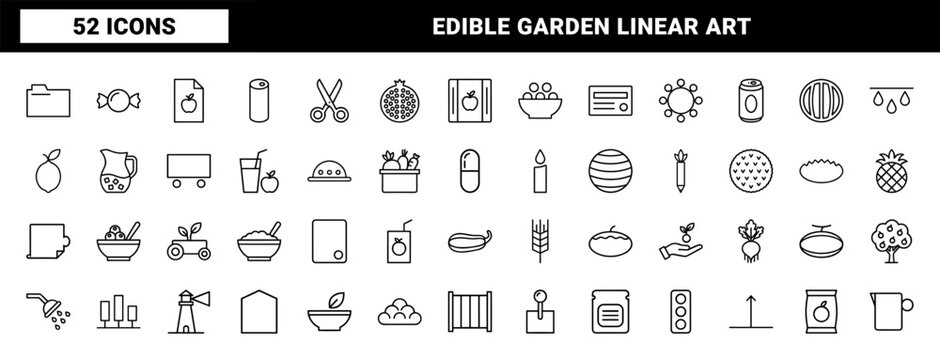 Minimalist edible fruit and vegetable linear icon set