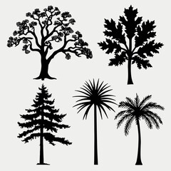 Obraz premium Set of vector tree silhouettes including palm pine and tropical forest plants in simple black design