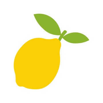 Bright yellow lemon fruit with green leaves. Vector illustration.