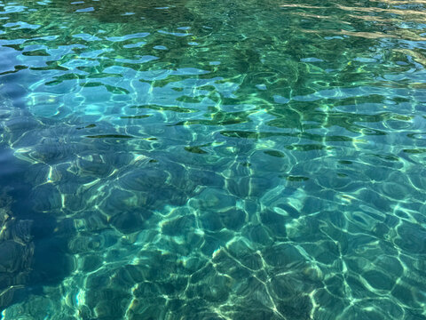 Transparent sea water with turquoise green color. 