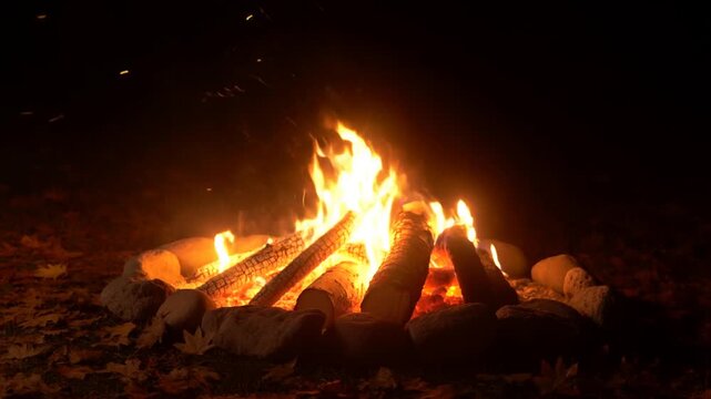 Static shot of campfire flames flickering over stacked logs surrounded by stones on leaf covered forest floor at night