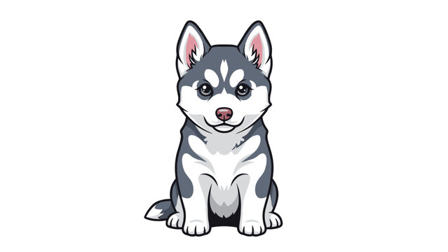 Cute siberian husky puppy sitting and looking forward with large eyes and a calm expression on a white background.