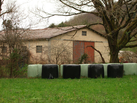 Fardos o pacas de paja al lado de un caser&iacute;o en el c&eacute;sped
