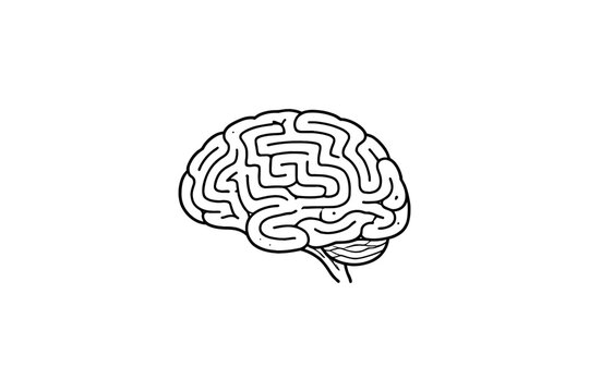 Stylized line drawing of a human brain with maze-like convolutions