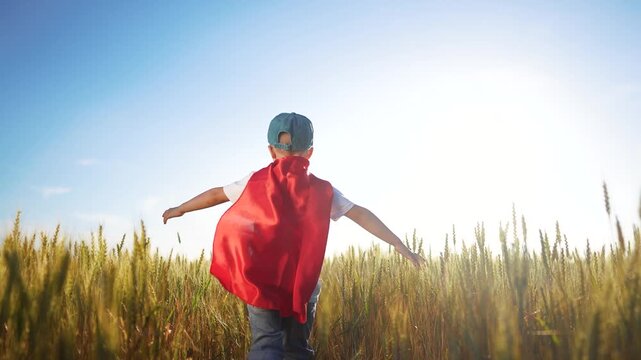A boy runs through a field of wheat with superheroes. Field kid happy concept. Superhero playing with a child in wheat. A boy and child are playing with a superhero running through sunset the wheat.