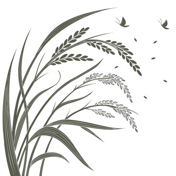 Vector illustration of wheat grass with flying butterflies and seeds