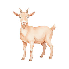 Fototapeta premium Watercolor of a standing light brown goat isolated on a transparent background