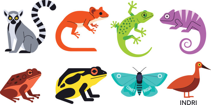 Vector Set of Exotic Animals Including Lemurs, Frogs, Chameleons, Indri, and Moths for Wildlife and Nature Designs