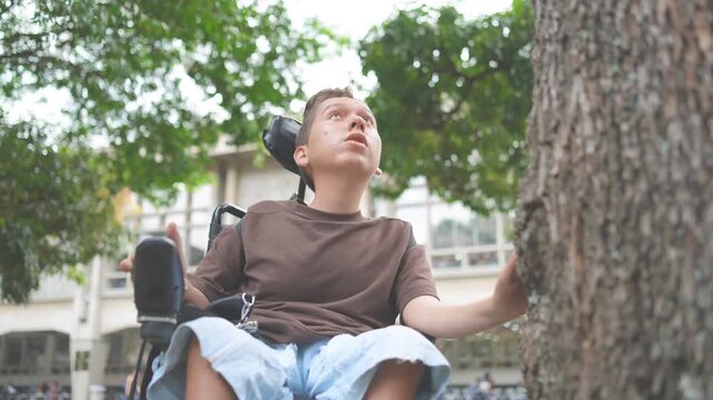 Sensory Connection: Young Man in Power Wheelchair Touching Tree Bark and Looking Up with Wonder