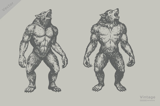 Hand-drawn Halloween werewolf howling vector illustration. Halloween werewolf set in vintage engraving style vector.