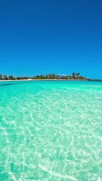 Turquoise ocean water with light ripples facing a white sand beach lined with tropical trees under a clear blue sky in Watamu, Kenya.
