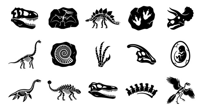 Dinosaur fossil icons set, prehistoric skeleton and bone silhouettes, 15 black and white paleontology vector elements for museum education