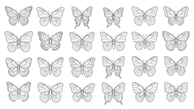 Grid of twenty-four detailed line art butterflies showcasing a wide variety of wing patterns and shapes on a white background.
