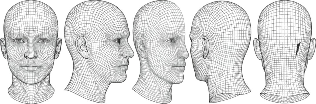 Human head wireframe model with multiple angles front side and back detailed 3D mesh anatomy line illustration