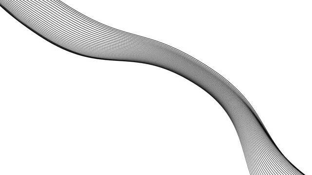 Flowing wave lines background animation, Elegant flowing curved lines forming a smooth wave animated