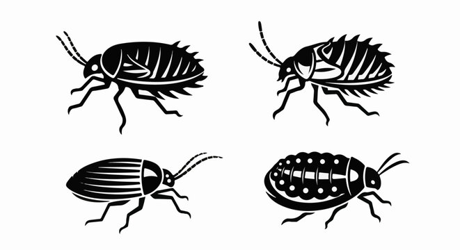 Four stylized black insect silhouettes on a white background