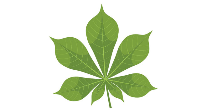 Detailed green chestnut leaf illustration with its characteristic five lobes showing natural vein patterns on a clean white background.