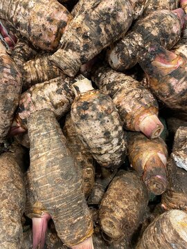Top view close-up of a pile of raw unpeeled taro roots at a traditional fresh produce market.