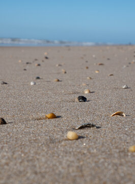 Stones at beach
