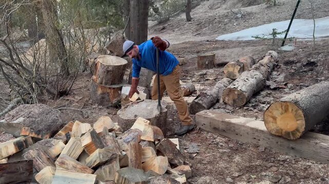 A man in protective gloves splits a large log with a heavy splitting axe in a mountain forest. Pine and fir trees, remaining snow on the slope, and scattered logs form the background. Captured during 