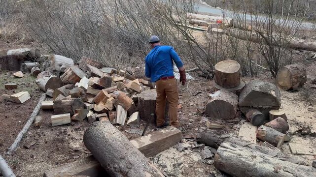 A hardworking man wearing a blue shirt and brown work pants splits large wooden logs using a traditional axe. The scene takes place outdoors in a rustic, wooded area with a pile of freshly chopped fir
