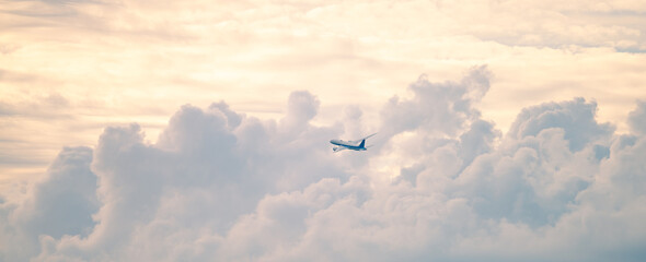 Fototapeta premium 飛行機