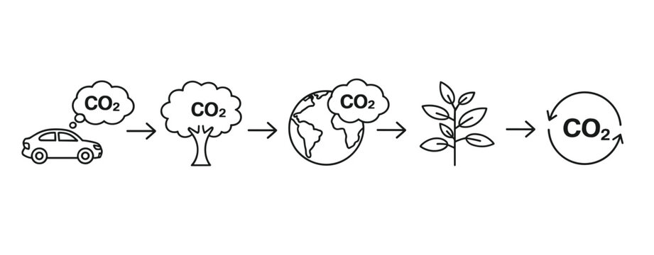 Carbon dioxide cycle from car to plant and earth automobile
