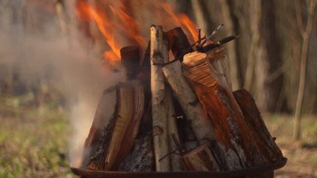 Close-up of a campfire in a grill in the forest. Flames engulf logs, smoke rises, blurred woodland background, natural spring light. Perfect for outdoor, camping, fire content.