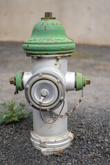 Fototapeta premium Fire Hydrant in Washington State, USA