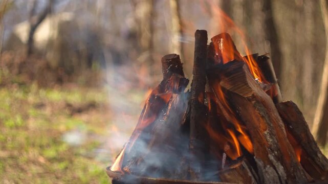 Close-up of a campfire in a grill in the forest. Flames engulf logs, smoke rises, blurred woodland background, natural spring light. Perfect for outdoor, camping, fire content.