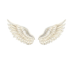 Fototapeta premium Feather wings in white color appear as a detailed illustration symbolizing freedom, flight, and the gentle nature of angelic beings in religious artwork.