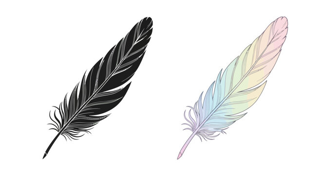 Black Quill Feather and Rainbow Watercolor Feather