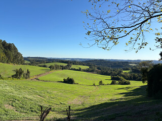 Fototapeta premium Rolling green hills landscape in rural Rio Grande do Sul, Brazil with clear blue sky
