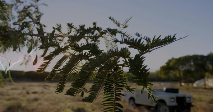Gentle breeze sending branch swaying, camera pulling back, overlay visualizing data, truck emerging