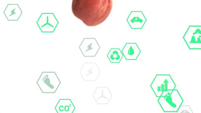 Red apple entering from top, rotating and passing among green hexes, highlighting eco symbols