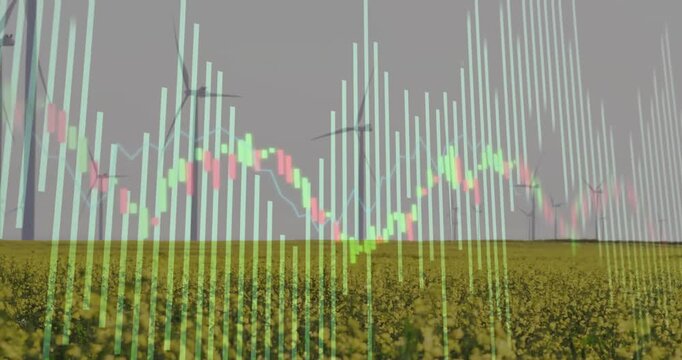 Live data driving faint overlay pulsing bars, tracing candlestick wave over canola field, turbines