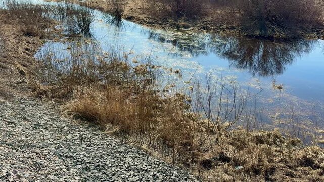 Crushed stone riverbank with dry grass, stainless wire mesh over pebble embankment beside calm river, textured closeup of rocks.