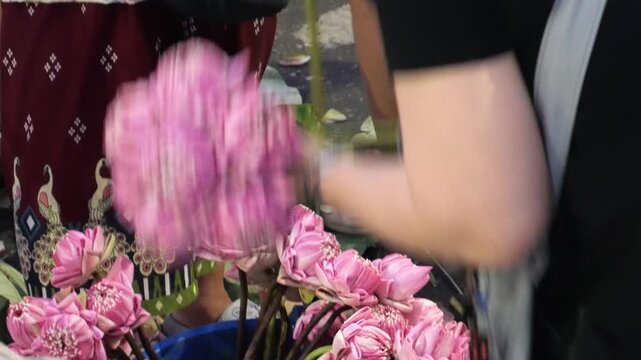 Folding lotus petals to arrange into lotus bouquets. Taking photos with a lotus bouquet is currently trendy among Thai Gen Z.