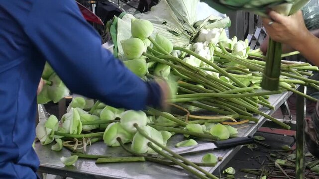 Folding lotus petals to arrange into lotus bouquets. Taking photos with a lotus bouquet is currently trendy among Thai Gen Z.
