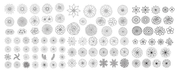 Fototapeta premium Succulent and Rosette Flower Line Art Set — Botanical Coloring Pages, Top-View Floral Patterns and Outlines