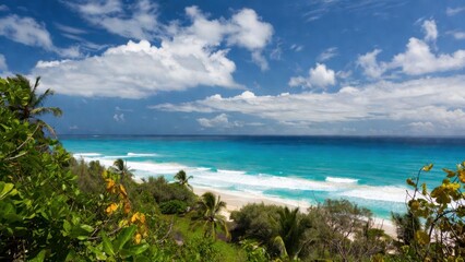 Fototapeta premium Turquoise ocean horizon tropical beach with palm trees for travel background panorama and coastal wallpaper