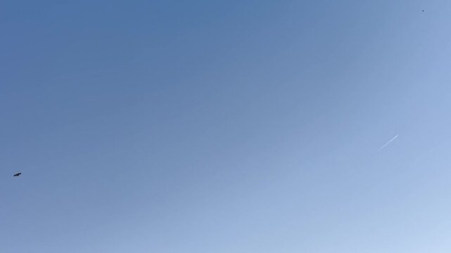 Minimalist view of a clear blue sky with an airplane leaving a faint contrail above a residential area in China.